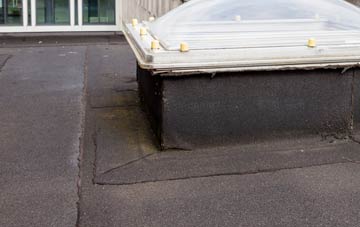 disadvantages of Carragraich flat roofs