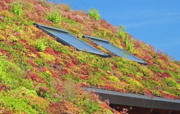 Carragraich living roof systems